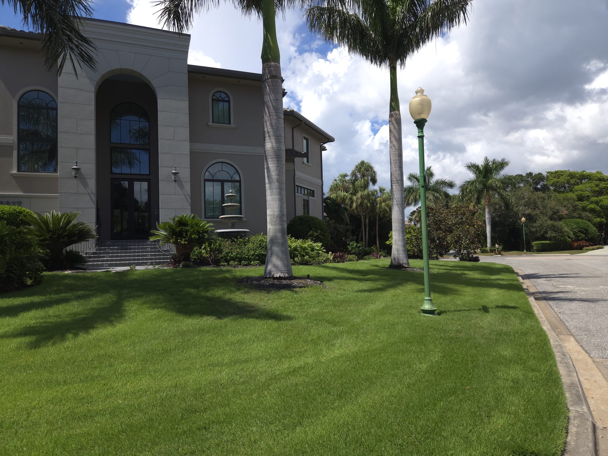 Estate lawn