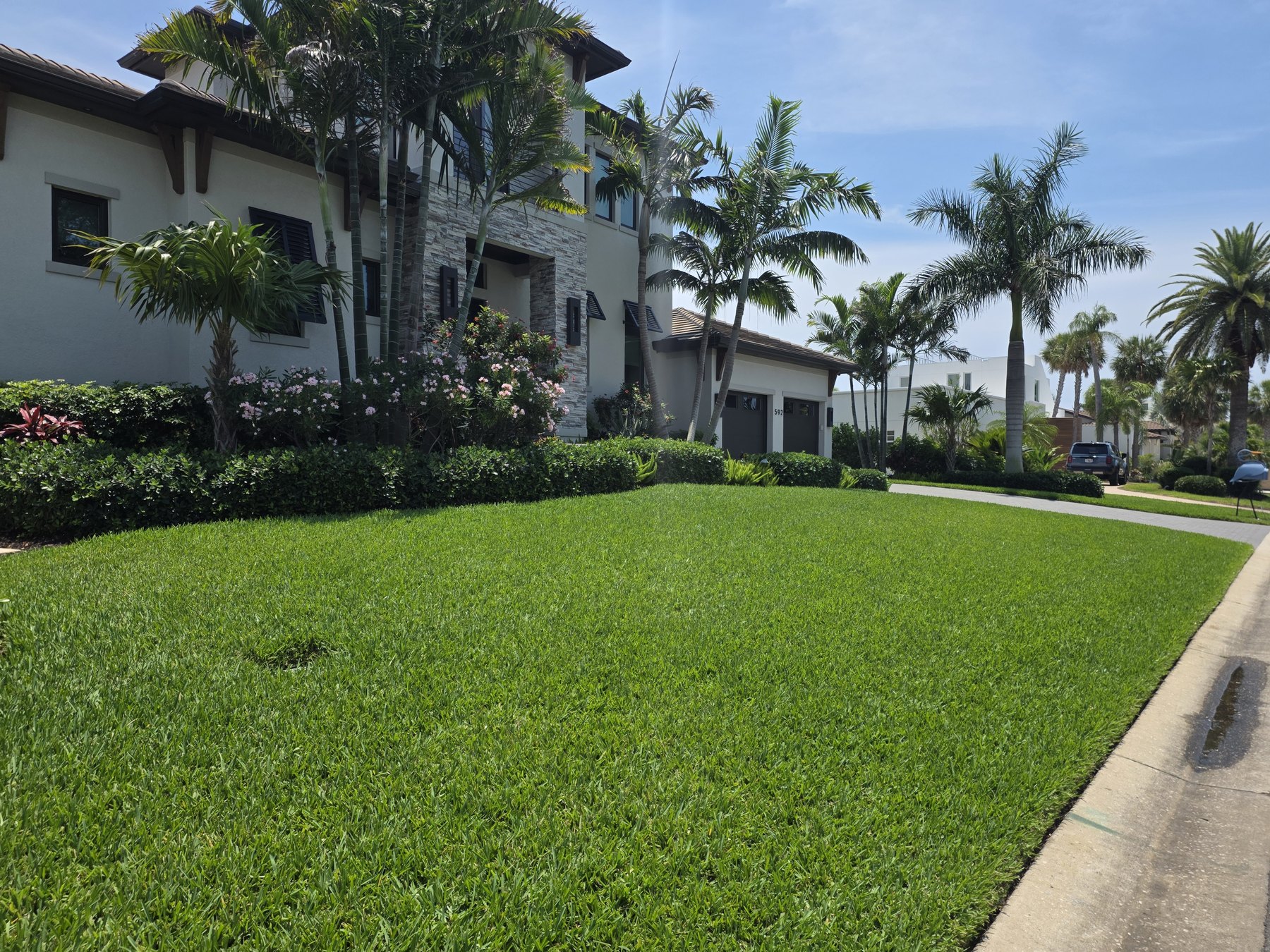 Front lawn and palms at a two-story house